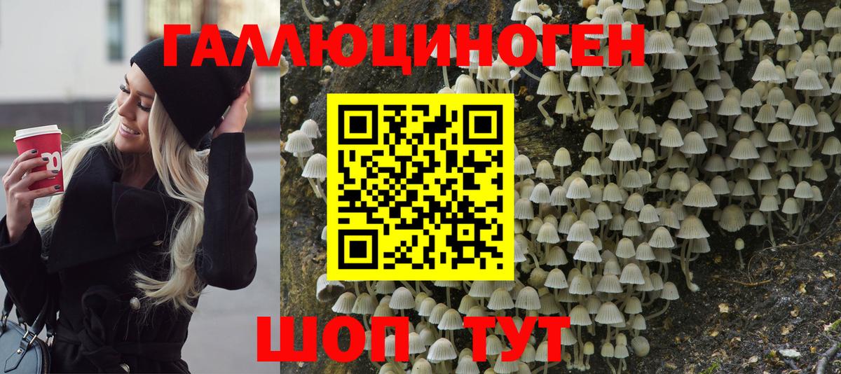 Псилоцибиновые грибы Мегион