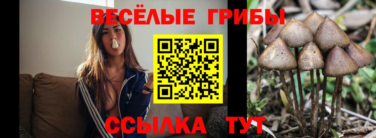 Мегион  Галлюциногенные грибы мицелий  Псилоцибиновые грибы мицелий  Вход с VPN 